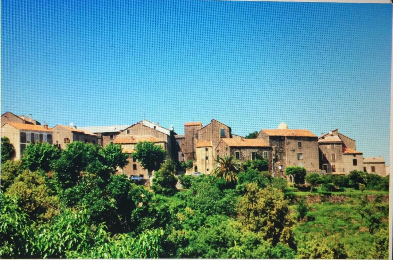Studio 1.5 km mer et 2 km cascade Santa-Maria-Poggio  Extérieur photo