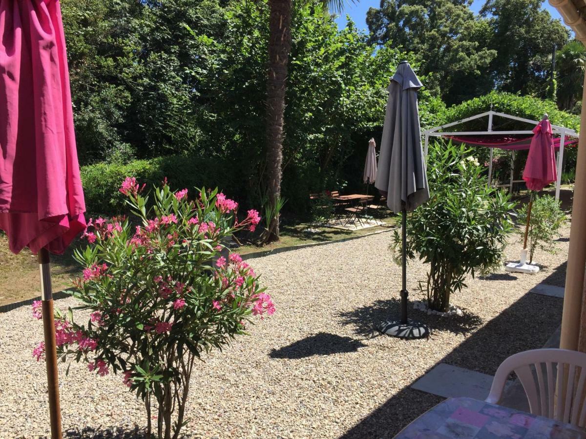 Studio 1.5 km mer et 2 km cascade Santa-Maria-Poggio  Extérieur photo