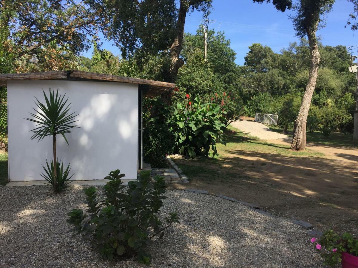 Studio 1.5 km mer et 2 km cascade Santa-Maria-Poggio  Extérieur photo